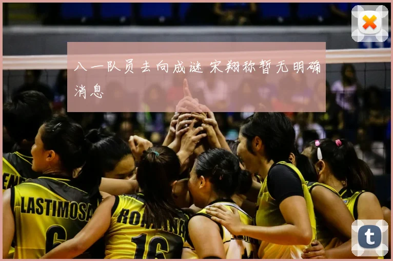八一队员去向成谜 宋翔称暂无明确消息